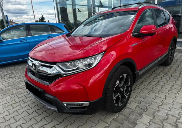 lubuskie Honda CR-V cena 107379 przebieg: 99500, rok produkcji 2019 z Łuków